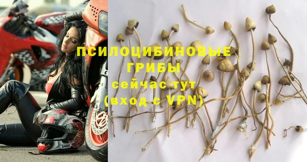 ешки Кукмор