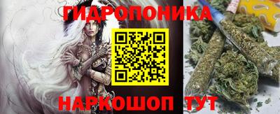 соль ск Славгород