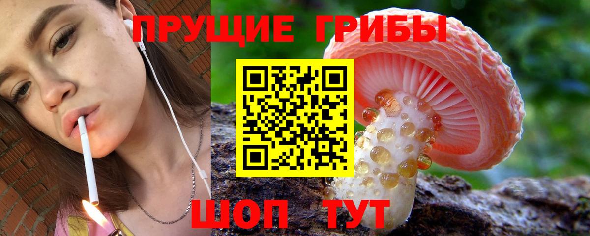 Псилоцибиновые грибы ЛСД  Вход с VPN  Сафоново  Галлюциногенные грибы ЛСД 